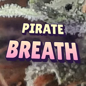Pirate Breath Cannabis Strain