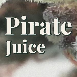 Pirate Juice Cannabis Strain