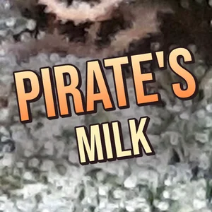 Pirate's Milk Cannabis Strain