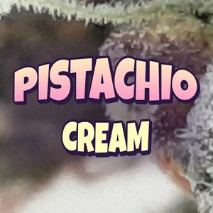 Pistachio Cream Cannabis Strain