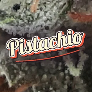 Pistachio Cannabis Strain
