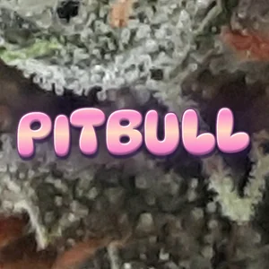 Pitbull Cannabis Strain