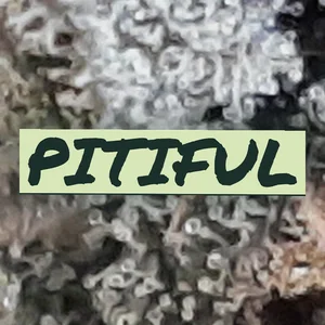 Pitiful Cannabis Strain