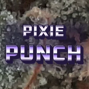 Pixie Punch Cannabis Strain