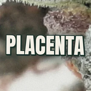 Placenta Cannabis Strain