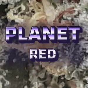 Planet Red Cannabis Strain