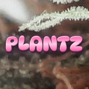 Plantz Cannabis Strain