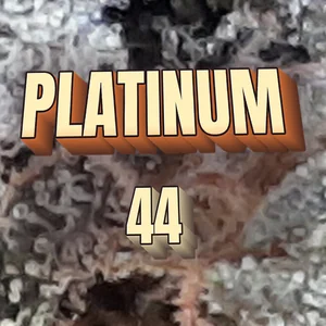 Platinum 44 Cannabis Strain