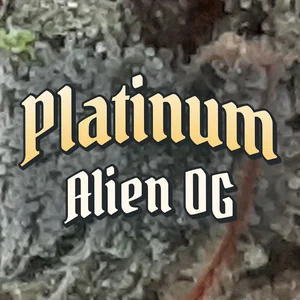 Platinum Alien OG Cannabis Strain