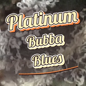 Platinum Bubba Blues Cannabis Strain