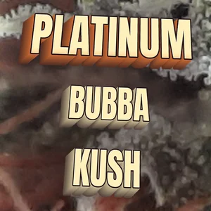 Platinum Bubba Kush Cannabis Strain