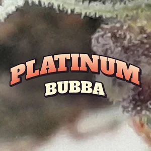 Platinum Bubba Cannabis Strain