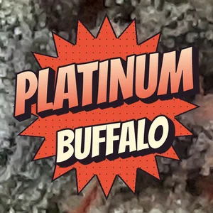 Platinum Buffalo Cannabis Strain
