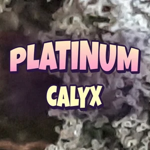 Platinum Calyx Cannabis Strain