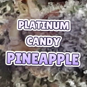 Platinum Candy Pineapple Cannabis Strain