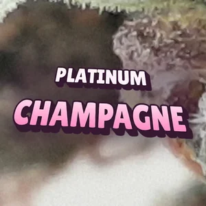 Platinum Champagne Cannabis Strain