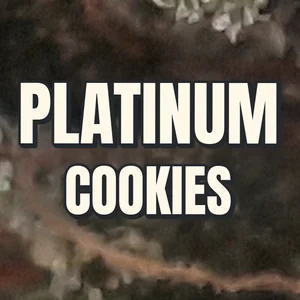 Platinum Cookies Cannabis Strain