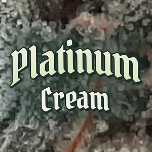 Platinum Cream Cannabis Strain