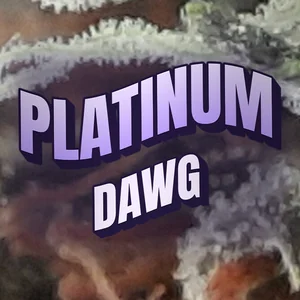 Platinum Dawg Cannabis Strain