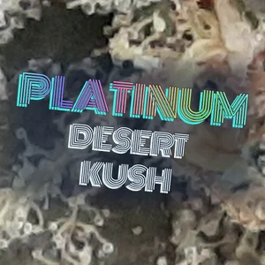 Platinum Desert Kush Cannabis Strain