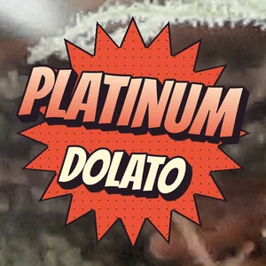 Platinum Dolato Cannabis Strain