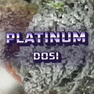 Platinum Dosi Cannabis Strain