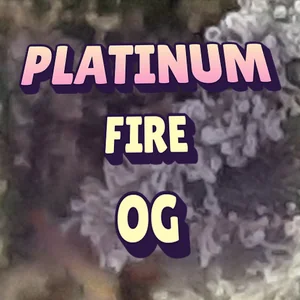 Platinum Fire OG Cannabis Strain