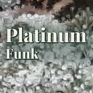 Platinum Funk Cannabis Strain