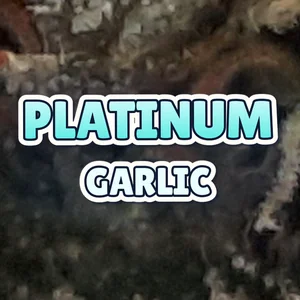 Platinum Garlic Cannabis Strain