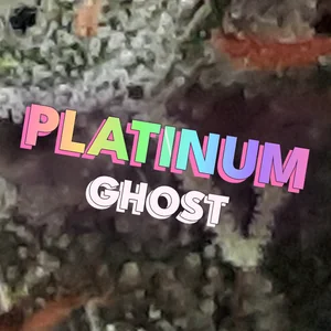 Platinum Ghost Cannabis Strain