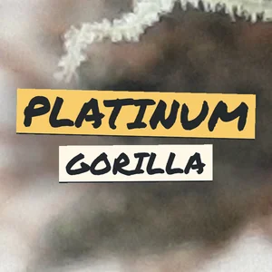 Platinum Gorilla Cannabis Strain