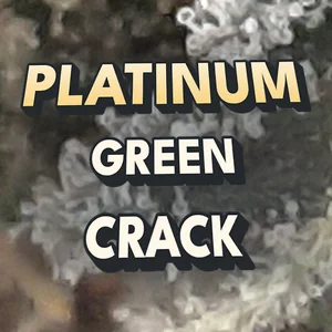 Platinum Green Crack Cannabis Strain