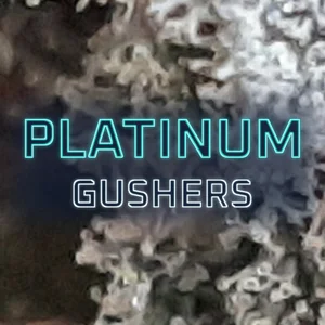 Platinum Gushers Cannabis Strain