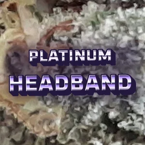Platinum Headband Cannabis Strain