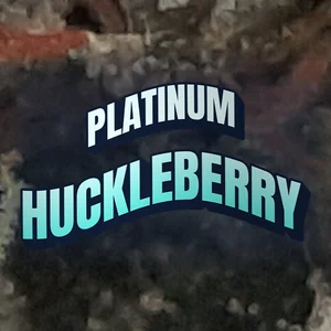 Platinum Huckleberry Cannabis Strain