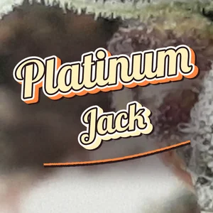 Platinum Jack Cannabis Strain