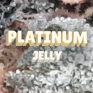 Platinum Jelly Cannabis Strain
