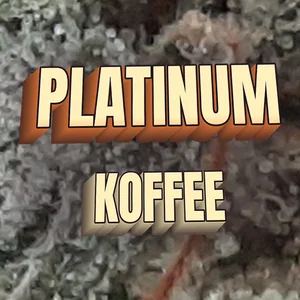 Platinum Koffee Cannabis Strain