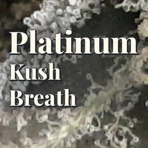 Platinum Kush Breath Cannabis Strain