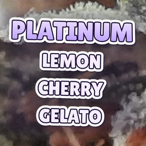 Platinum Lemon Cherry Gelato Cannabis Strain