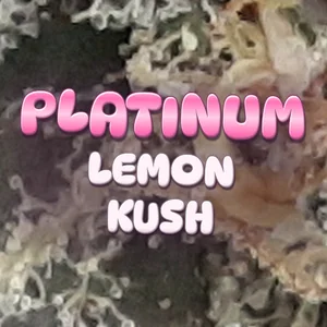 Platinum Lemon Kush Cannabis Strain