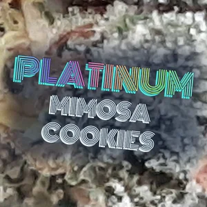 Platinum Mimosa Cookies Cannabis Strain
