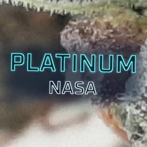 Platinum NASA Cannabis Strain