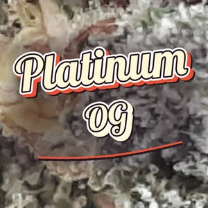 Platinum OG Cannabis Strain