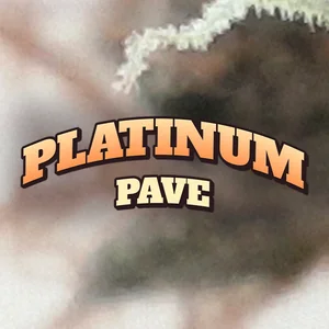 Platinum Pave Cannabis Strain