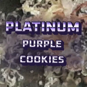 Platinum Purple Cookies Cannabis Strain