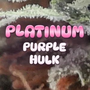 Platinum Purple Hulk Cannabis Strain