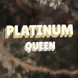 Platinum Queen Cannabis Strain