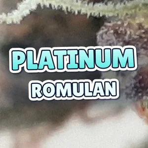 Platinum Romulan Cannabis Strain