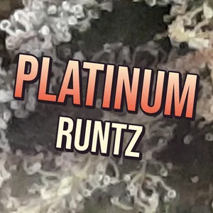 Platinum Runtz Cannabis Strain